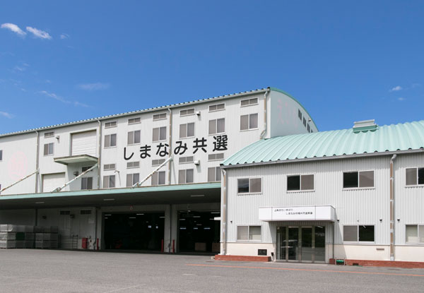 JAおちいまばり しまなみ柑橘共同選果場