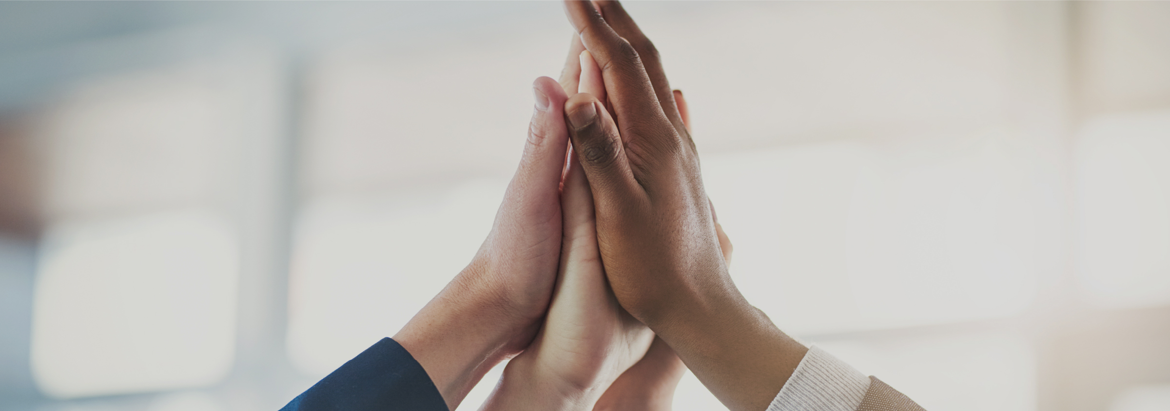INCLUSION & DIVERSITY