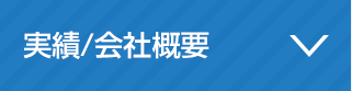 実績/会社概要