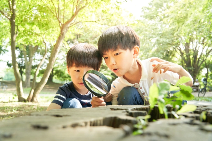 生活科におけるGIGA端末の活用法 ～低学年における効果的なアプローチ～